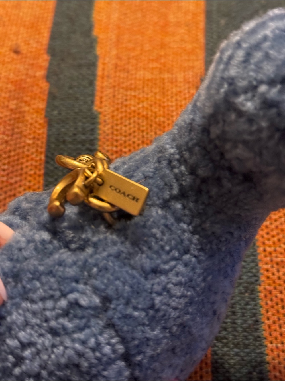 🦕Limited Edition Coach Buddy Brontosaurus Dinosaur Plushie Charm || NWOT🦕 - Picture 11 of 12